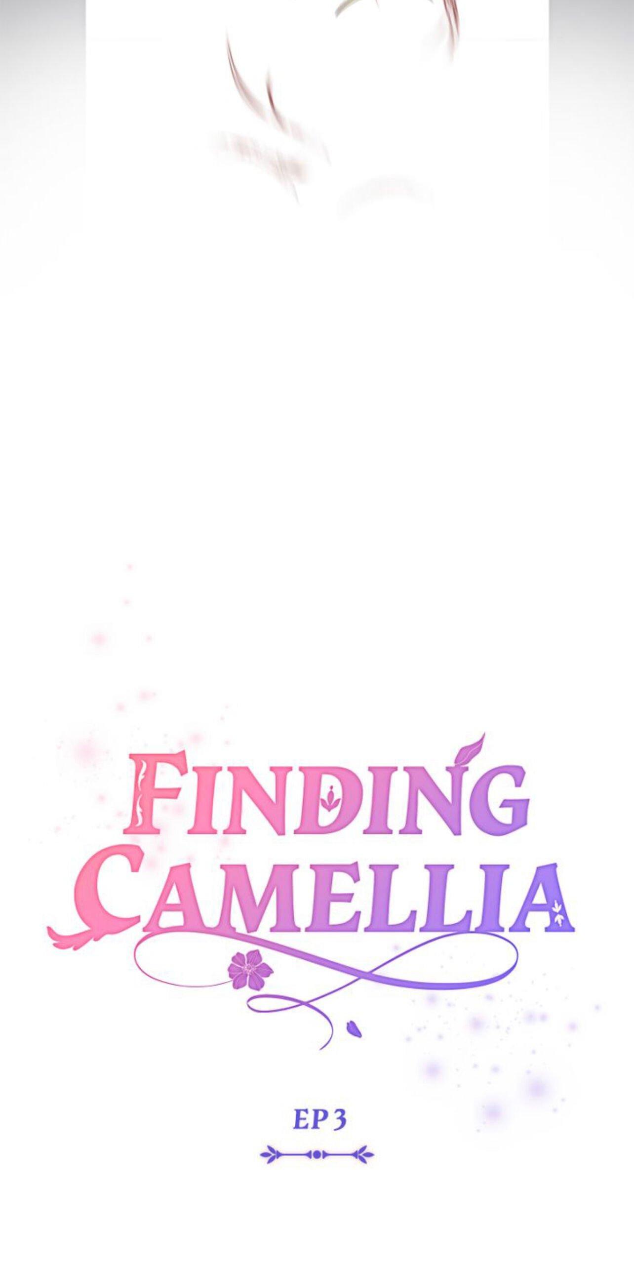 Finding Camellia Chapter 3 page 40
