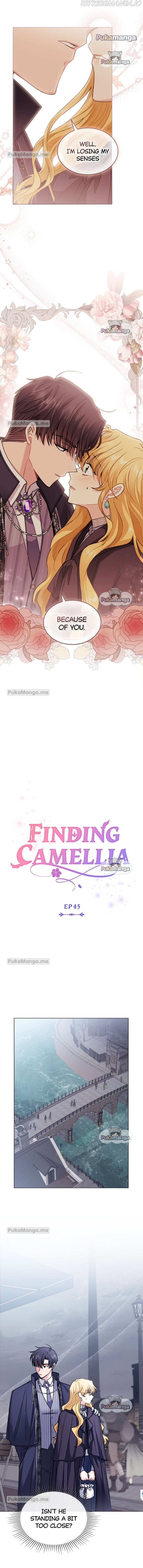 Finding Camellia Chapter 45 page 3