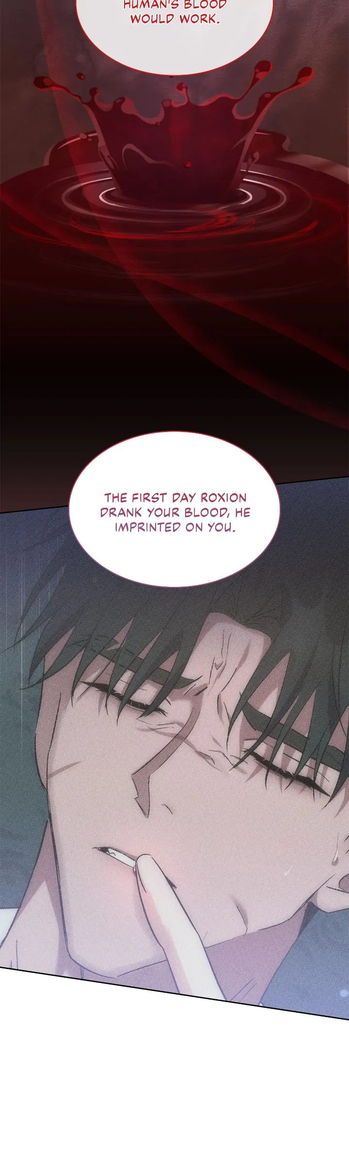 For the Happy Ending of the Tragic Novel Chapter 41 page 20