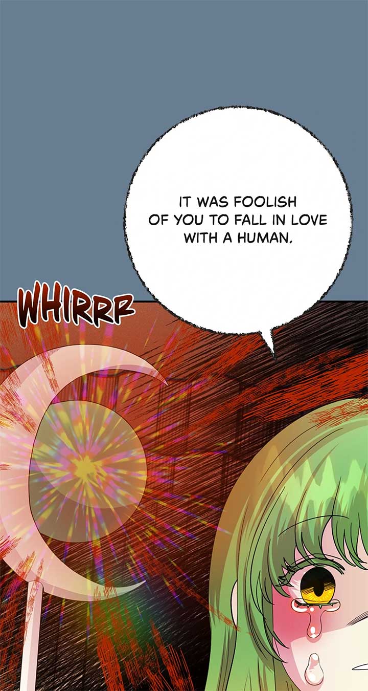 Fragrant Magician Chapter 49 page 1