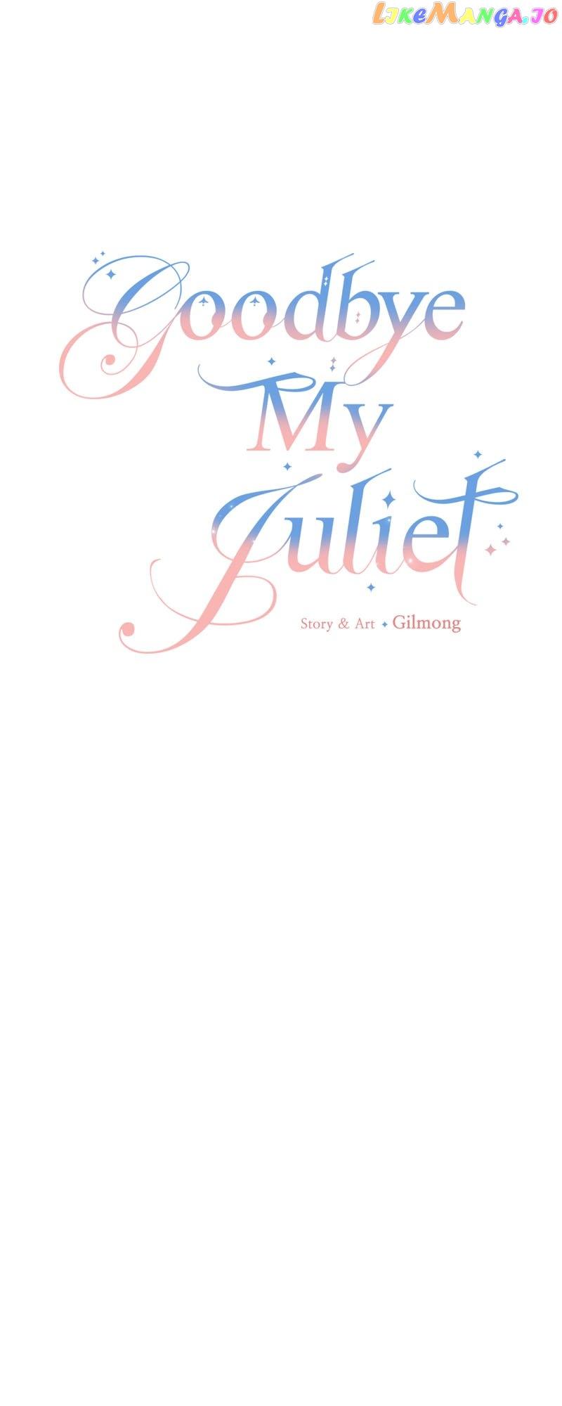 Goodbye My Juliet Chapter 24 page 3