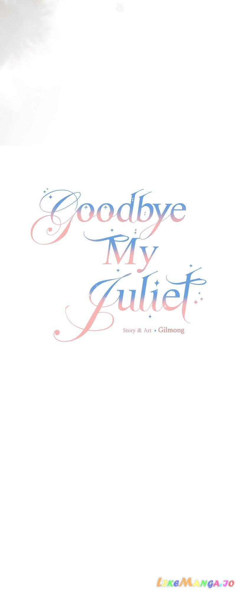 Goodbye My Juliet Chapter 27 page 3