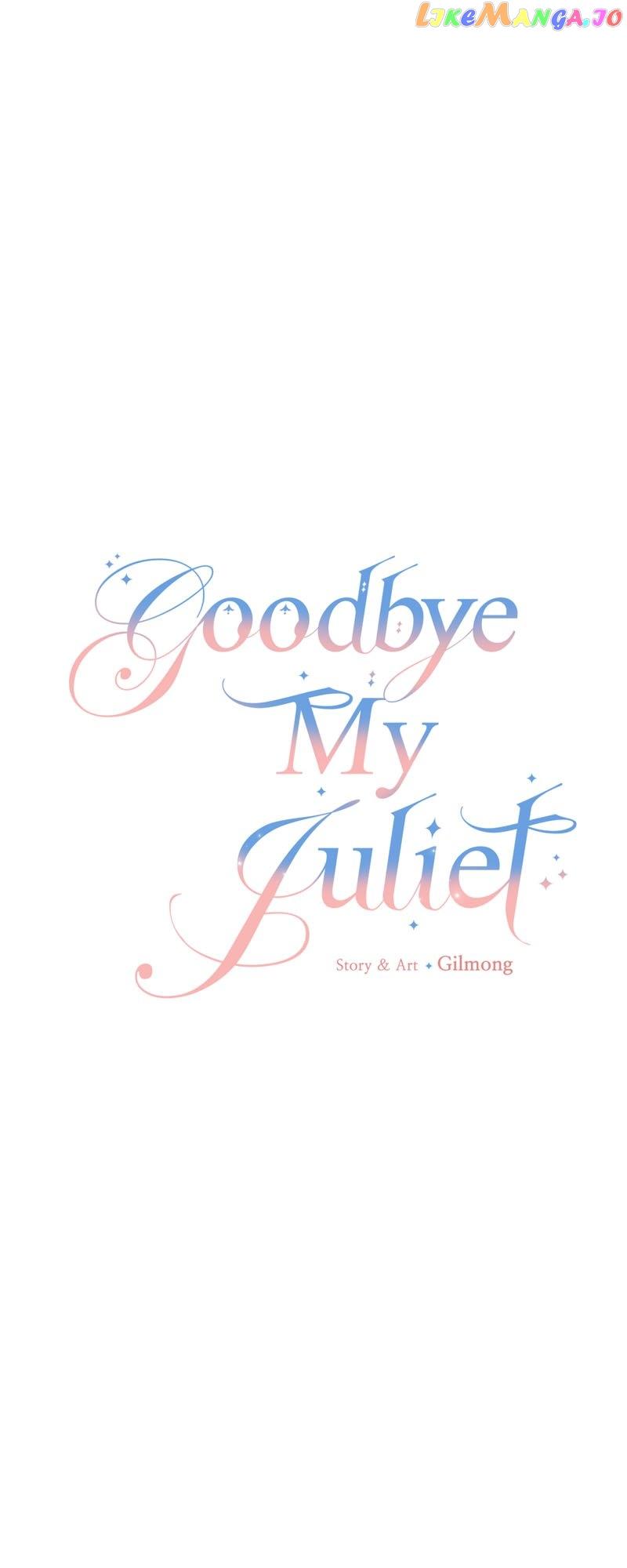 Goodbye My Juliet Chapter 34 page 14