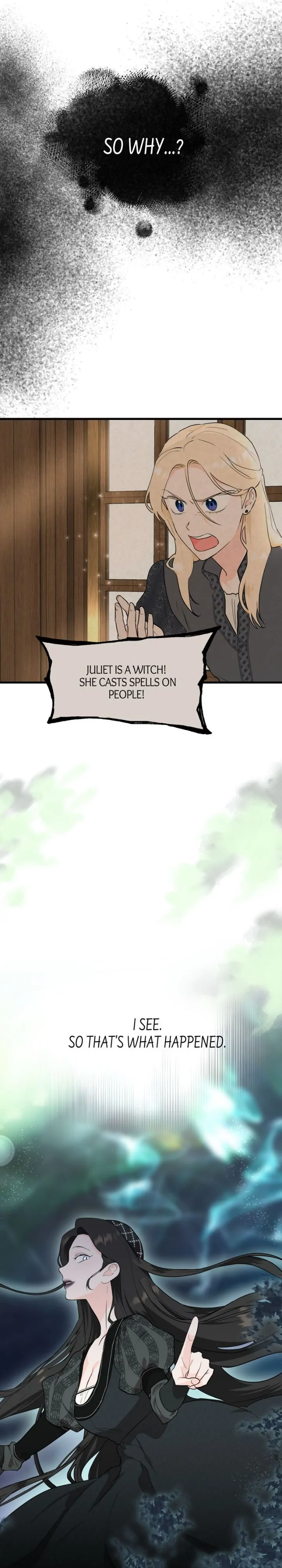 Goodbye My Juliet Chapter 48 page 19