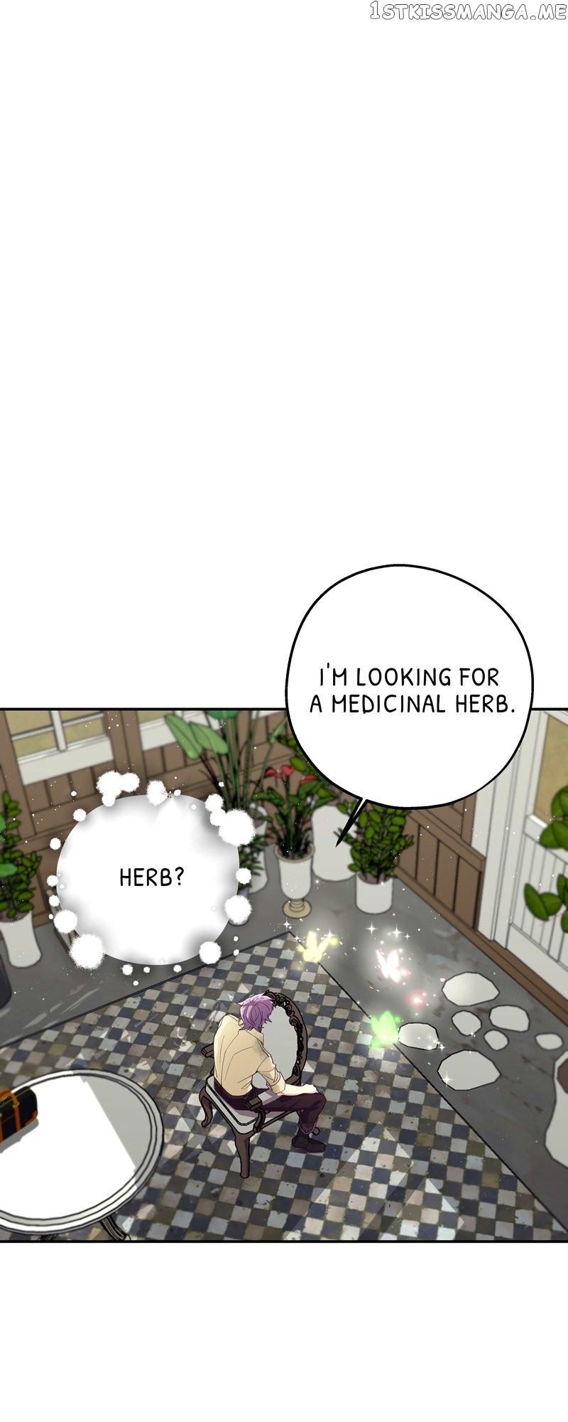Hello, I’m the Gardener! Chapter 71 page 2