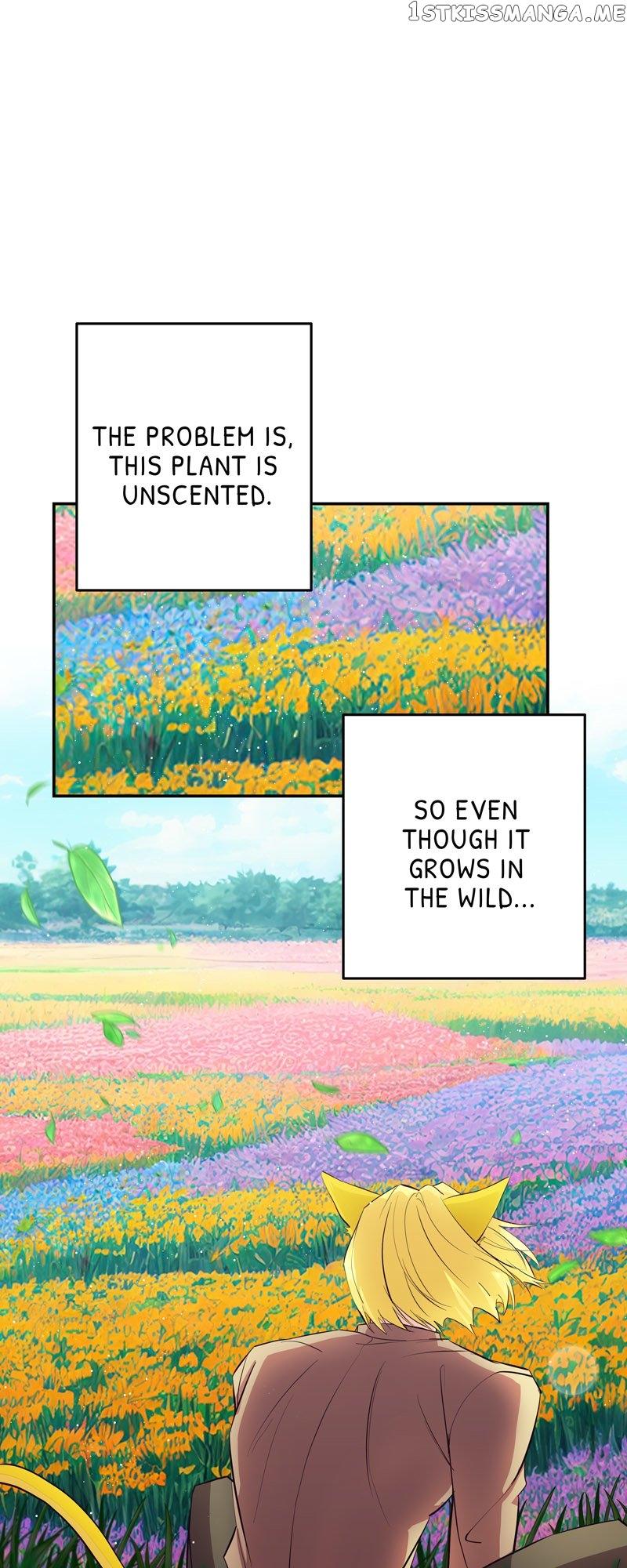 Hello, I’m the Gardener! Chapter 71 page 5