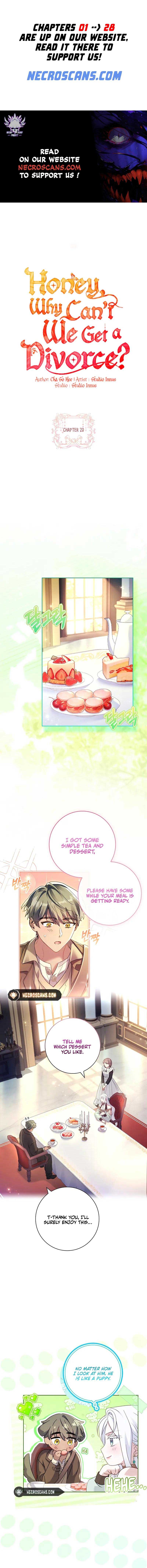 Honey, Why Can’t We Get A Divorce? Chapter 20 page 0