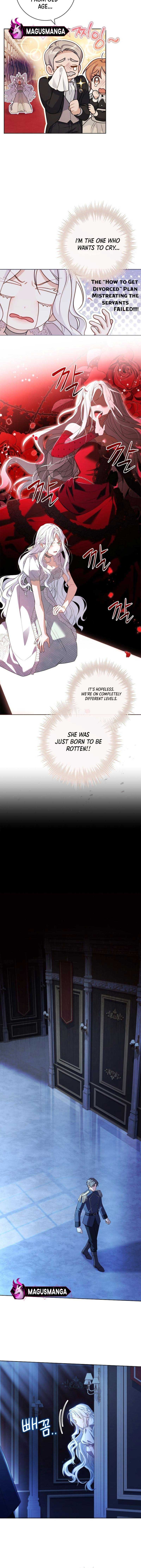 Honey, Why Can’t We Get A Divorce? Chapter 3 page 8