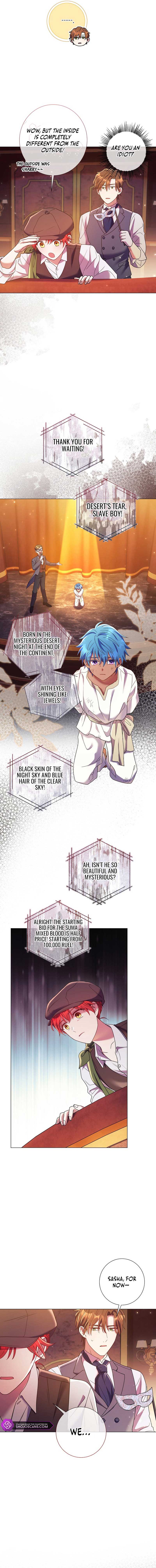 How Can There be a Divorce When We Haven’t Even Married, Your Majesty? Chapter 10 page 8