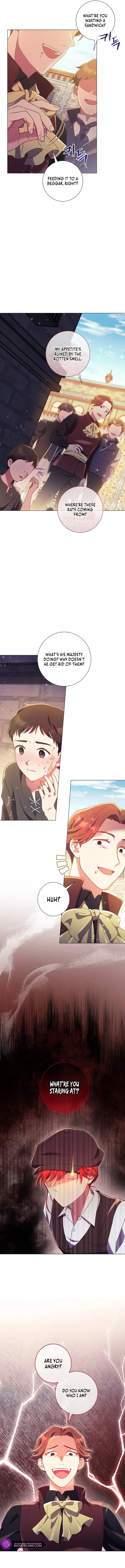 How Can There be a Divorce When We Haven’t Even Married, Your Majesty? Chapter 12 page 8