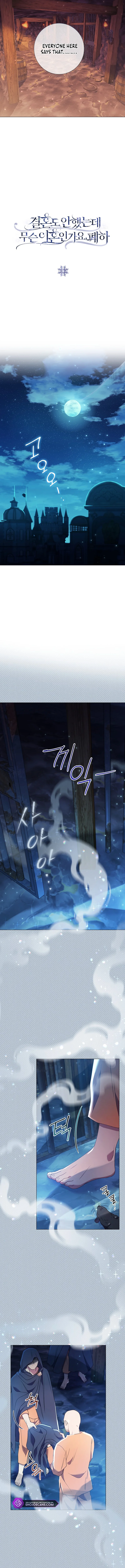 How Can There be a Divorce When We Haven’t Even Married, Your Majesty? Chapter 13 page 1