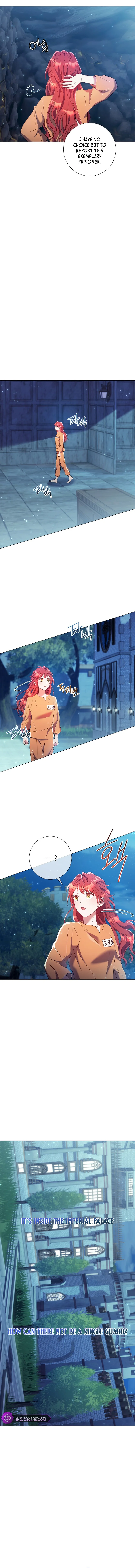 How Can There be a Divorce When We Haven’t Even Married, Your Majesty? Chapter 13 page 5