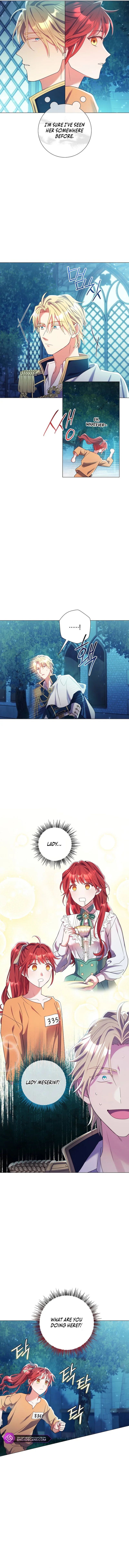 How Can There be a Divorce When We Haven’t Even Married, Your Majesty? Chapter 14 page 11