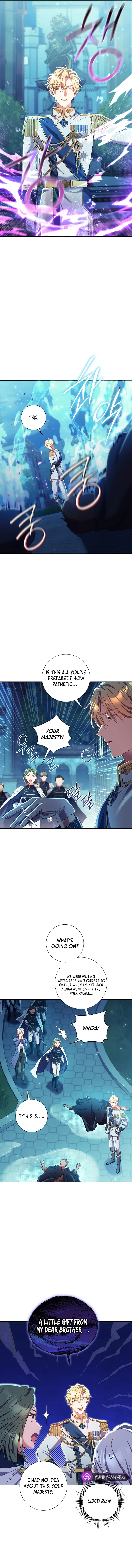 How Can There be a Divorce When We Haven’t Even Married, Your Majesty? Chapter 14 page 4
