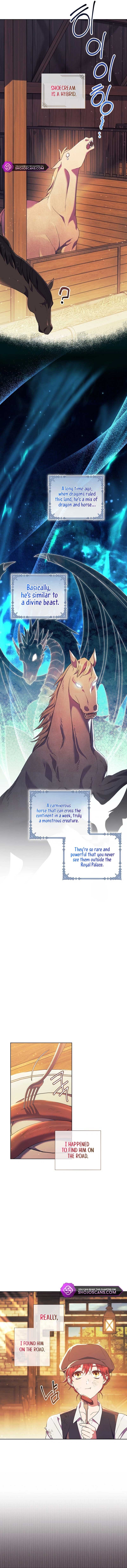 How Can There be a Divorce When We Haven’t Even Married, Your Majesty? Chapter 2 page 4
