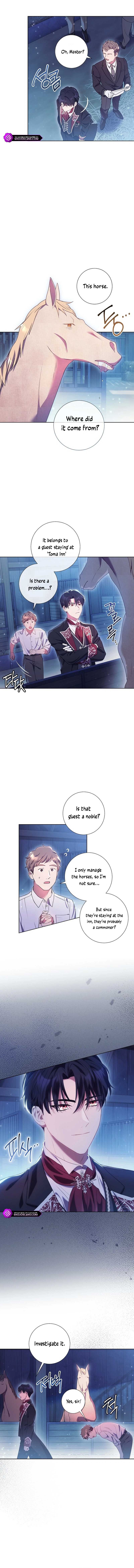 How Can There be a Divorce When We Haven’t Even Married, Your Majesty? Chapter 2 page 8