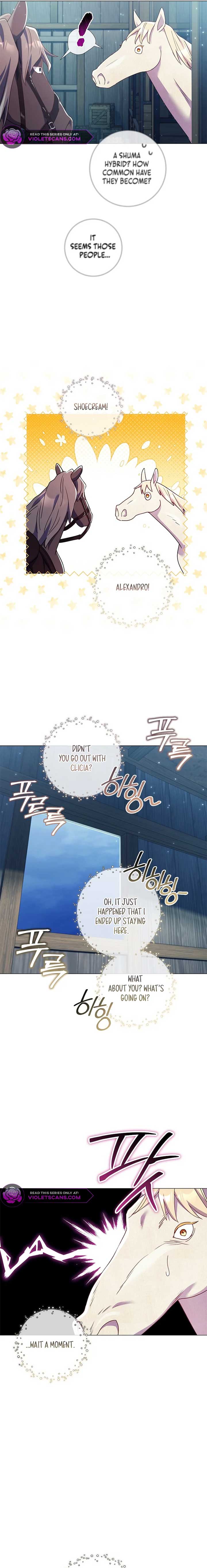 How Can There be a Divorce When We Haven’t Even Married, Your Majesty? Chapter 24 page 9