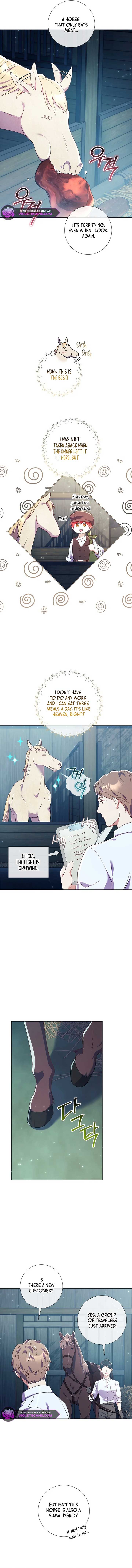 How Can There be a Divorce When We Haven’t Even Married, Your Majesty? Chapter 24 page 8