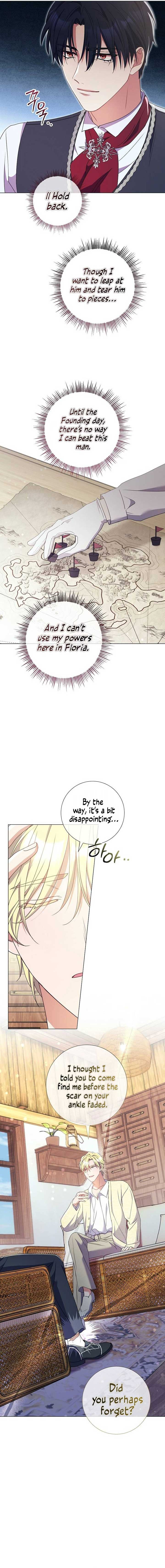 How Can There be a Divorce When We Haven’t Even Married, Your Majesty? Chapter 28 page 11