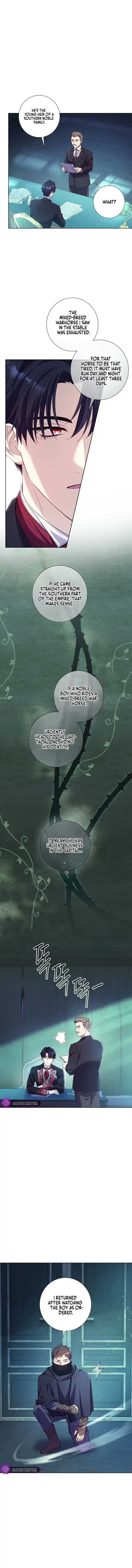 How Can There be a Divorce When We Haven’t Even Married, Your Majesty? Chapter 3 page 9