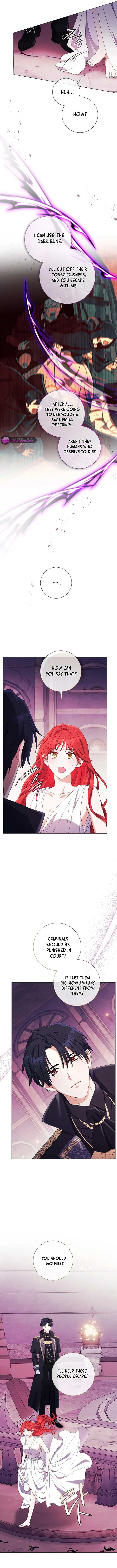 How Can There be a Divorce When We Haven’t Even Married, Your Majesty? Chapter 50 page 8