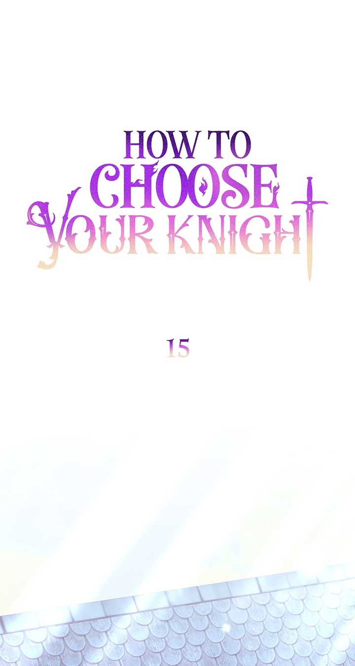 How to Choose Your Knight Chapter 15 page 18