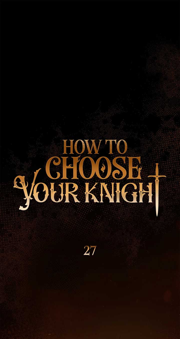 How to Choose Your Knight Chapter 27 page 51