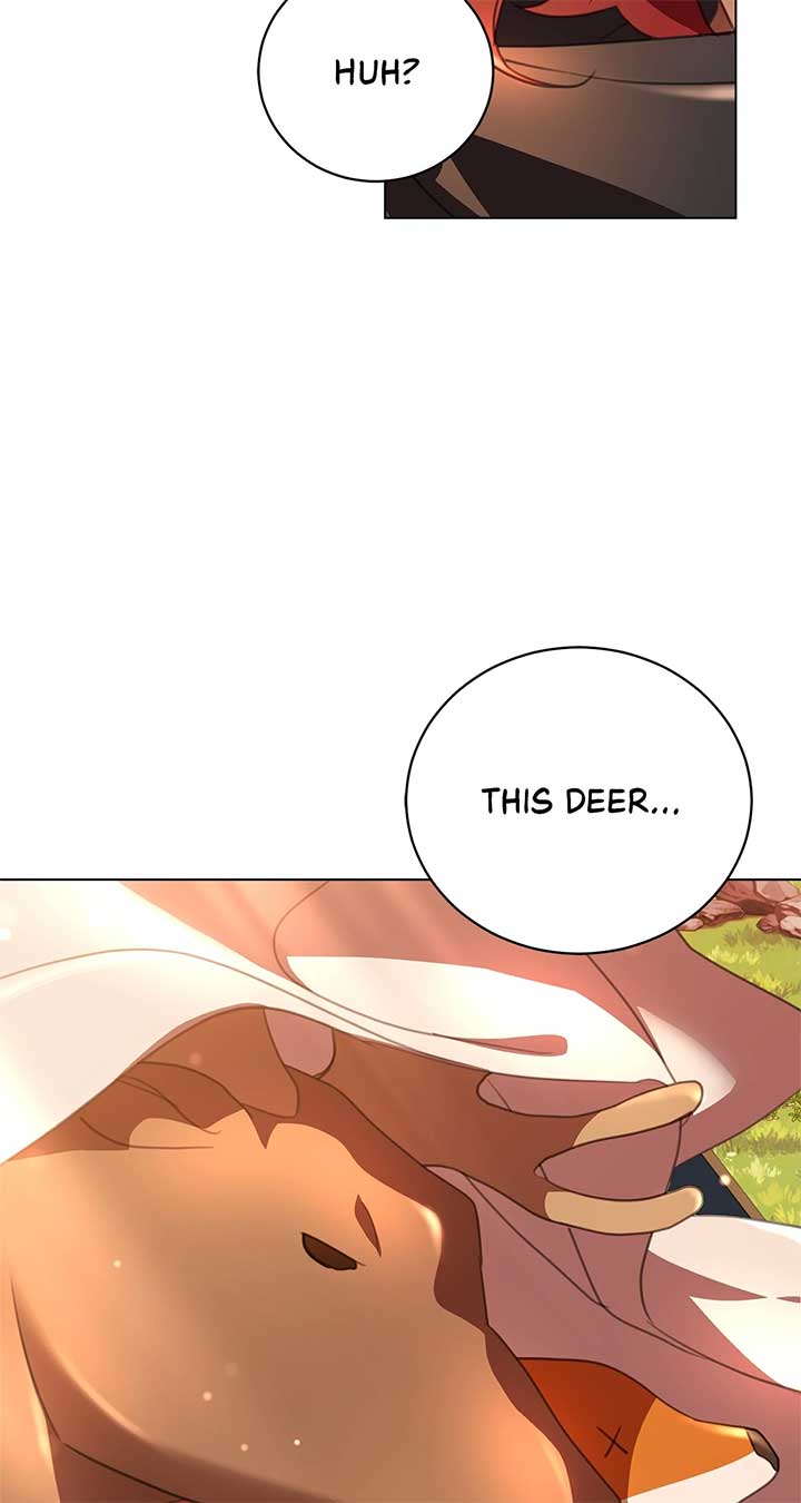 How to Choose Your Knight Chapter 34 page 102