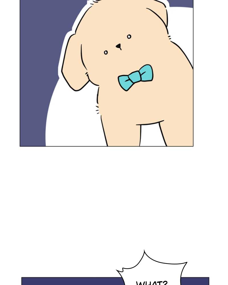 How to Hold X’s Leash Chapter 38 page 104