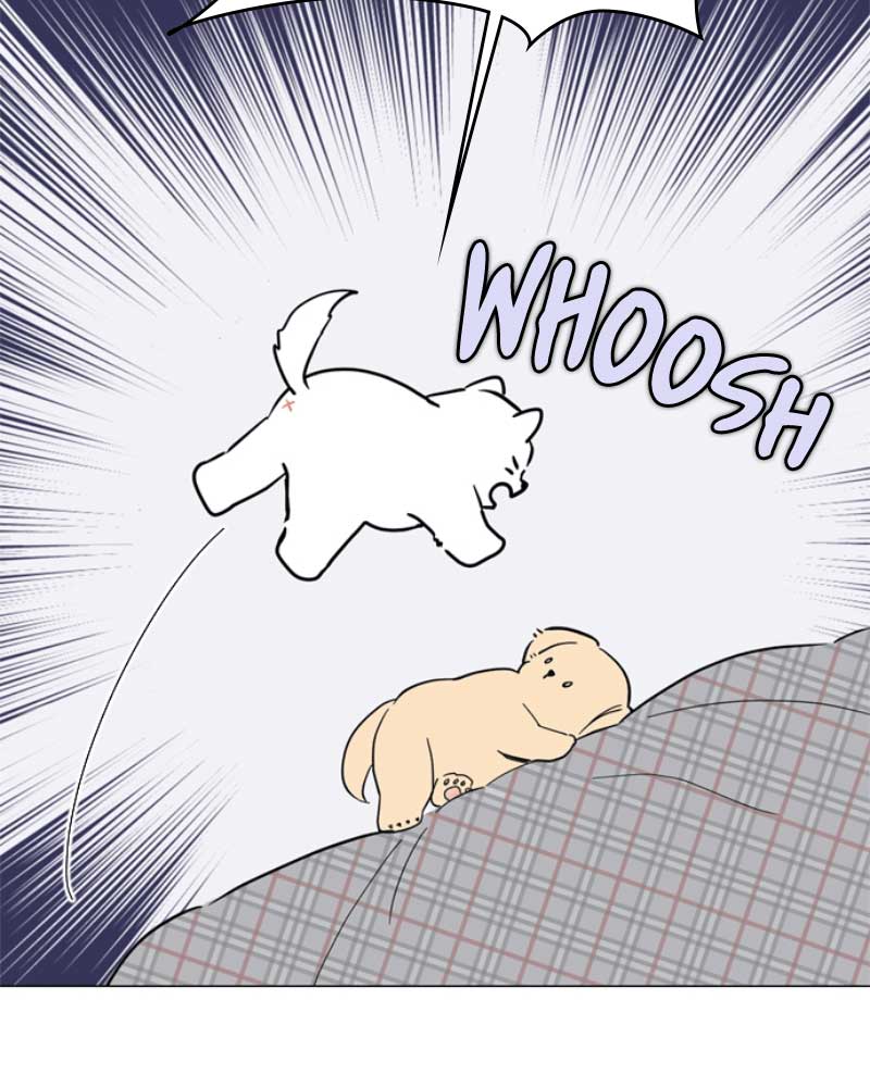 How to Hold X’s Leash Chapter 38 page 92