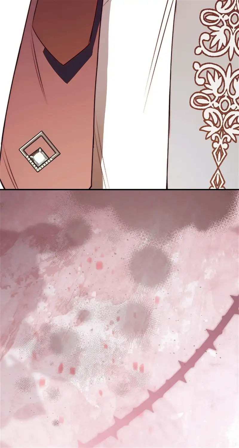 How To Reject My Obsessive Ex-Husband Chapter 28 page 95