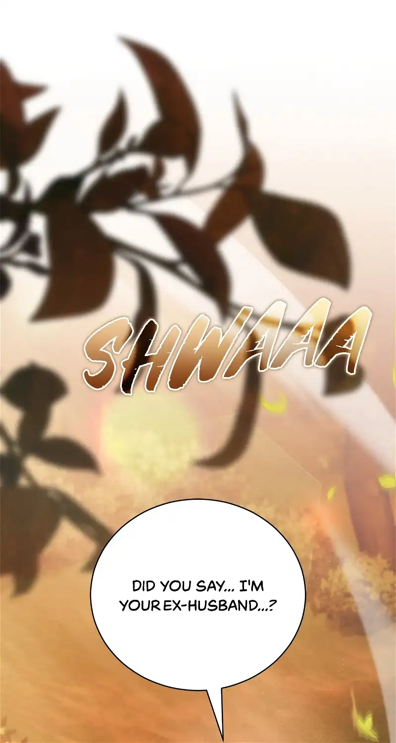 How To Reject My Obsessive Ex-Husband Chapter 31 page 0