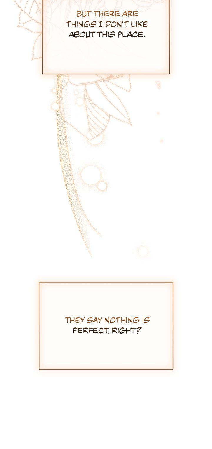 How To Reject My Obsessive Ex-Husband Chapter 49 page 5