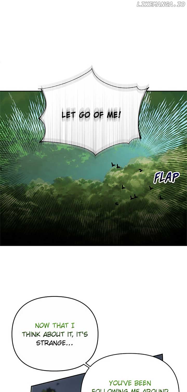 How to survive sleeping with the emperor Chapter 42 page 8