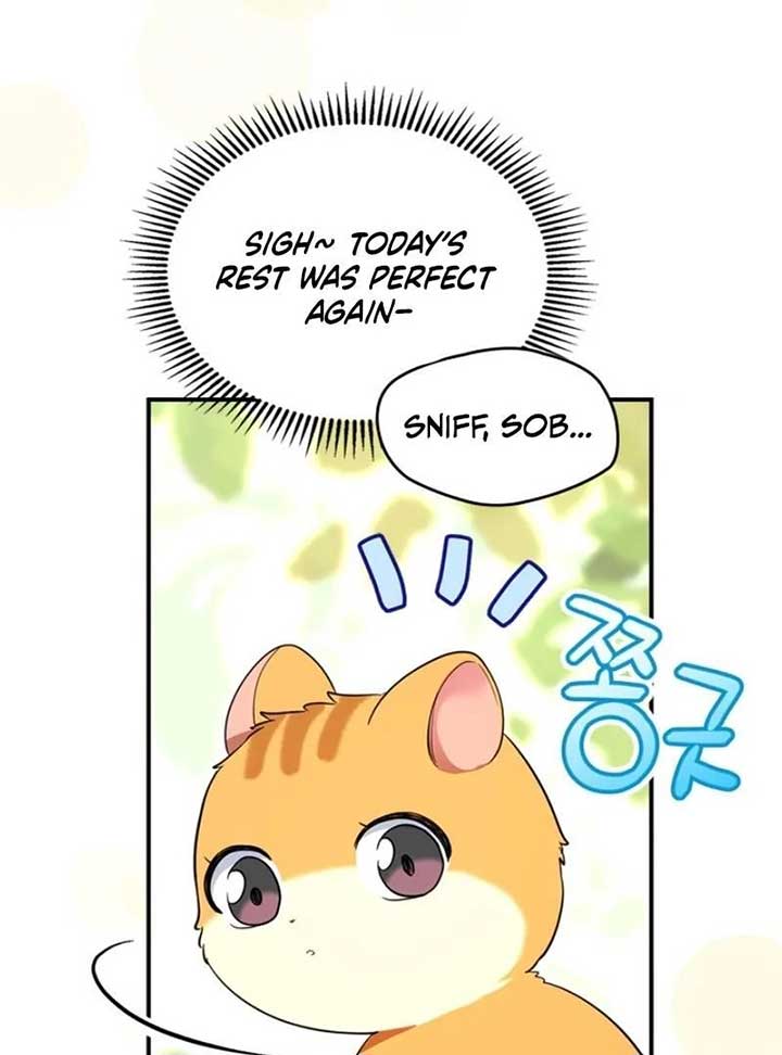 I Became A Squirrel Saving The Villain Chapter 12 page 8