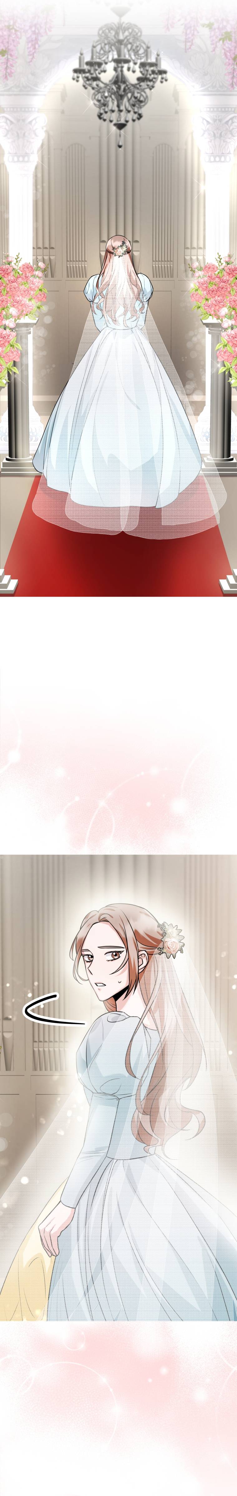 I became a top actor just by reading books Chapter 6 page 23