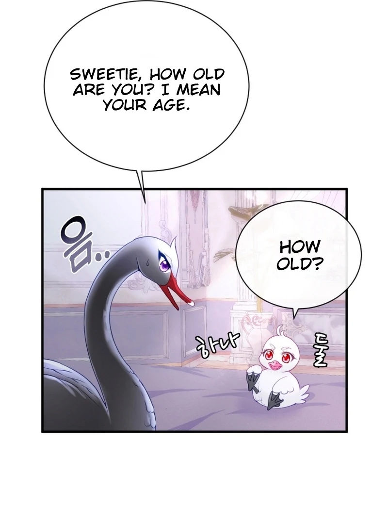 I Became The Black Swan Mother of The White Swan Princess Chapter 5 page 12