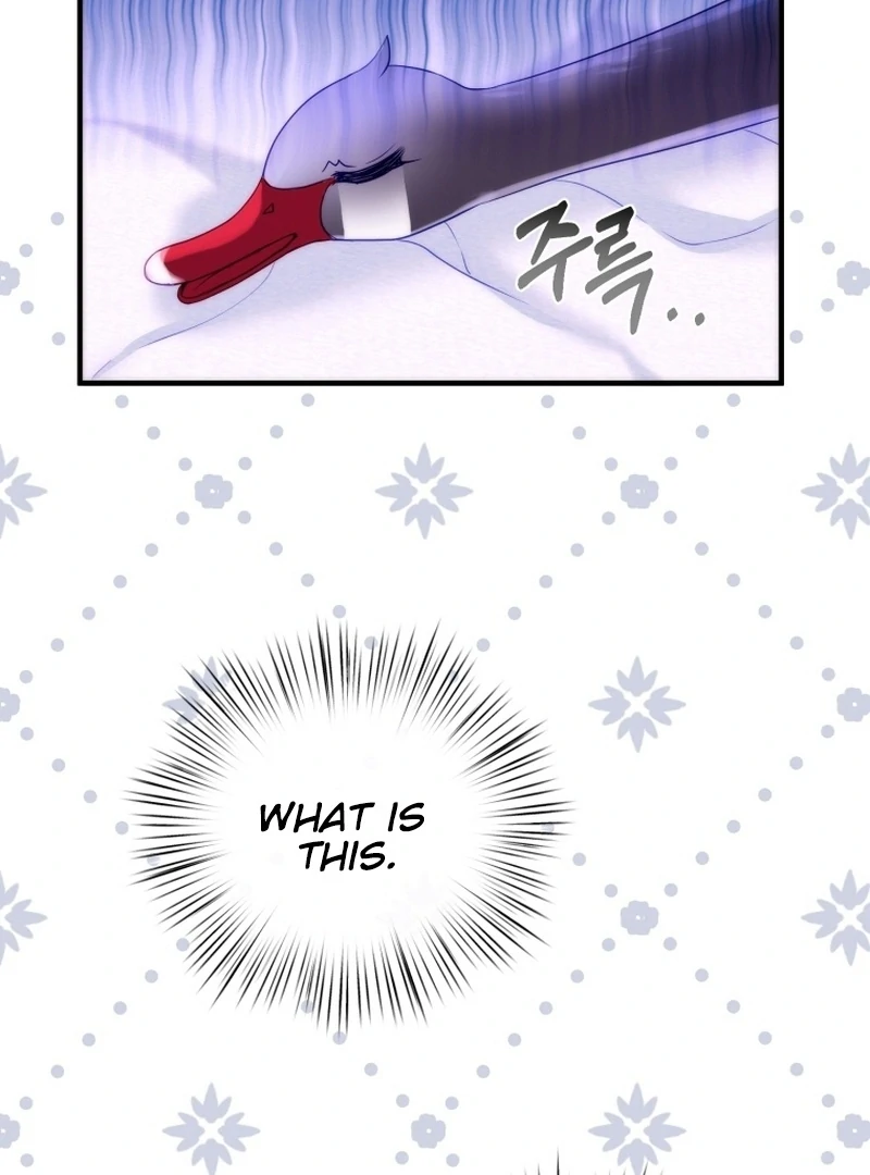I Became The Black Swan Mother of The White Swan Princess Chapter 5 page 15
