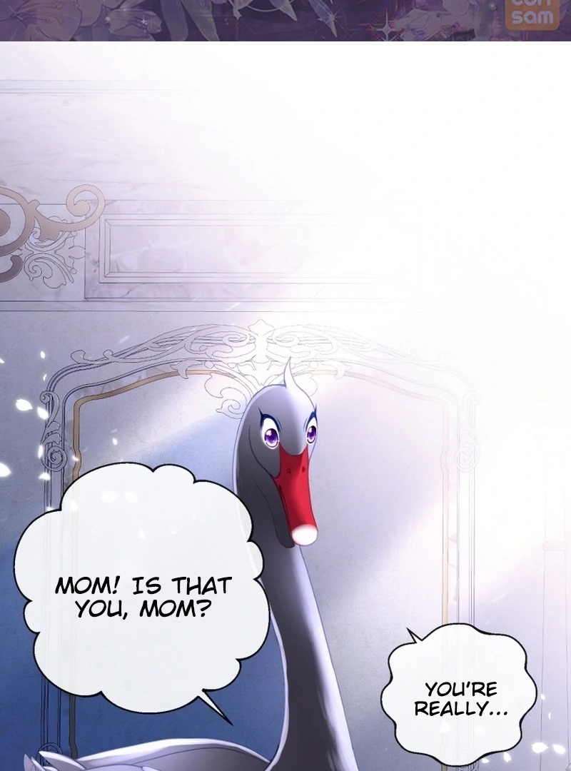 I Became The Black Swan Mother of The White Swan Princess Chapter 5 page 1