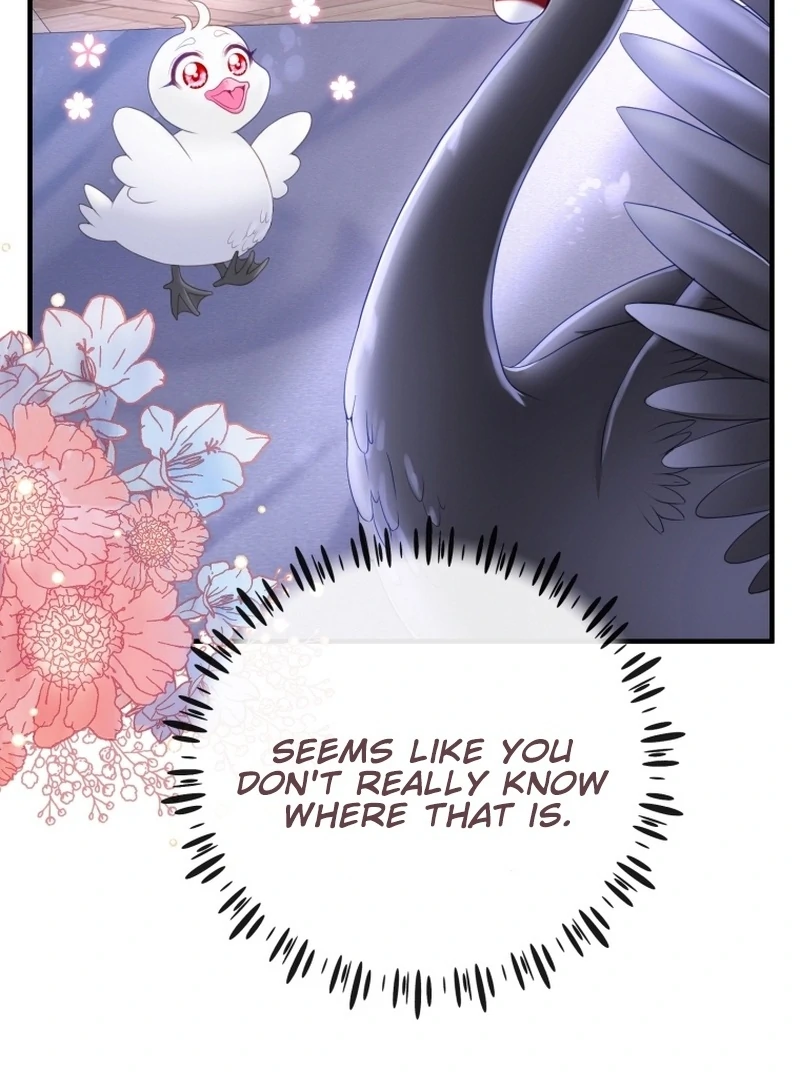 I Became The Black Swan Mother of The White Swan Princess Chapter 5 page 25