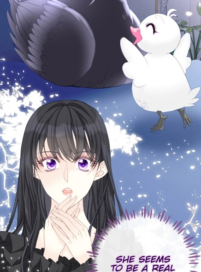 I Became The Black Swan Mother of The White Swan Princess Chapter 5 page 2