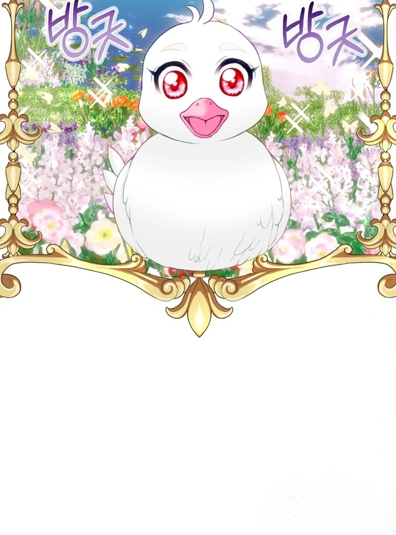 I Became The Black Swan Mother of The White Swan Princess Chapter 5 page 31