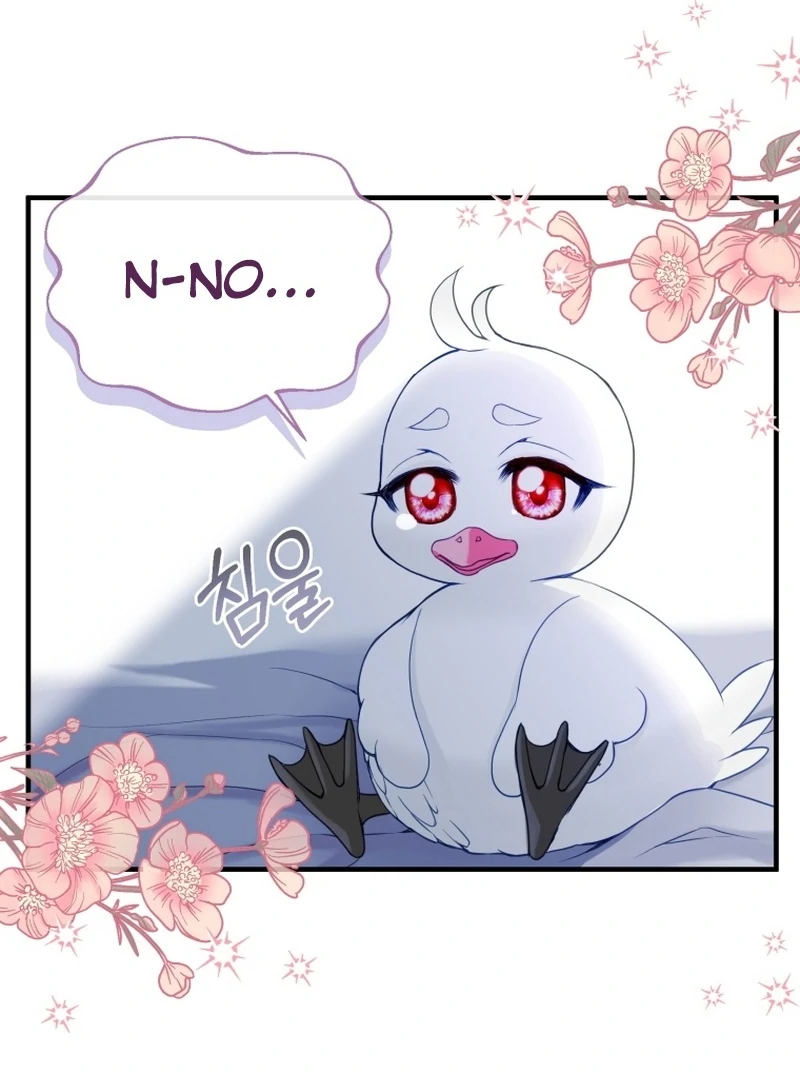 I Became The Black Swan Mother of The White Swan Princess Chapter 5 page 7