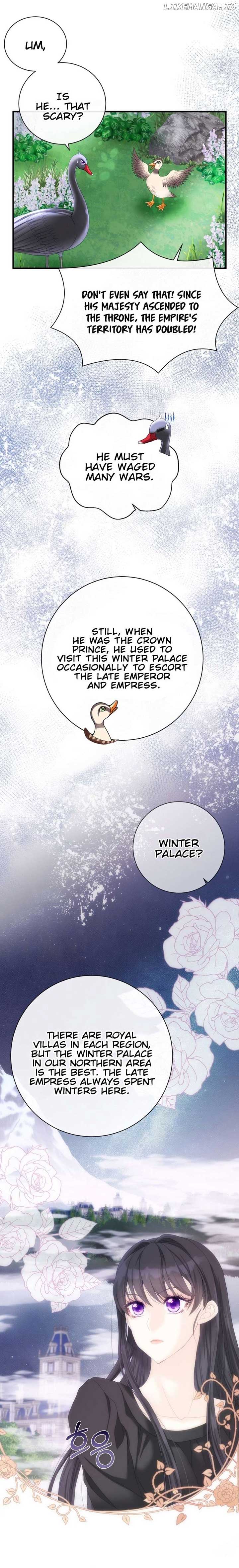 I Became The Black Swan Mother of The White Swan Princess Chapter 6 page 6
