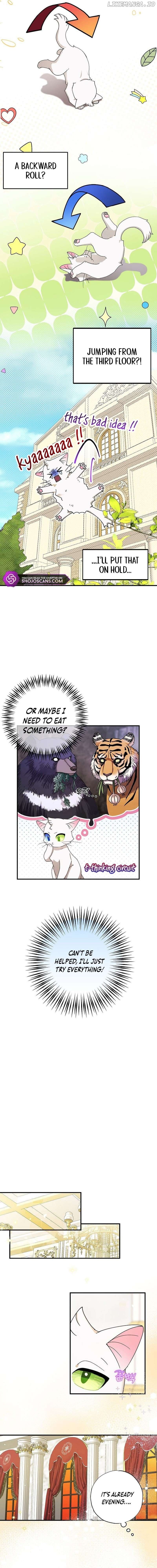 I Became the Emperor’s Cat Chapter 2 page 6