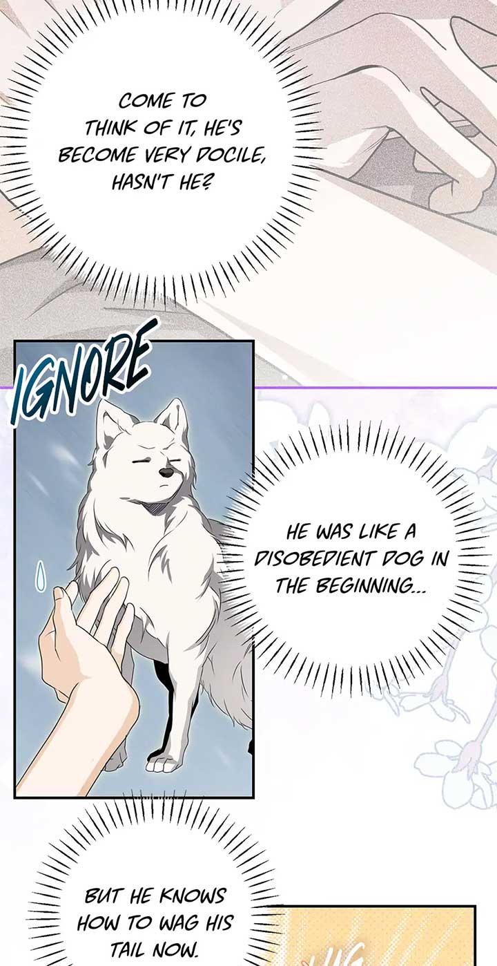 I Became the Master of the Devil Chapter 48 page 19