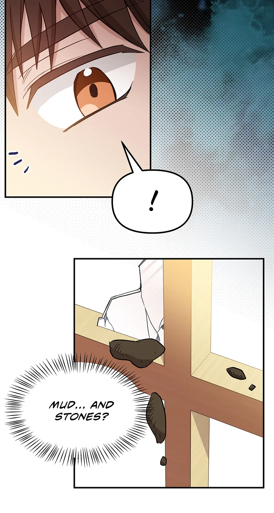 I Became the Tutor of the Royal Twins Chapter 47 page 8