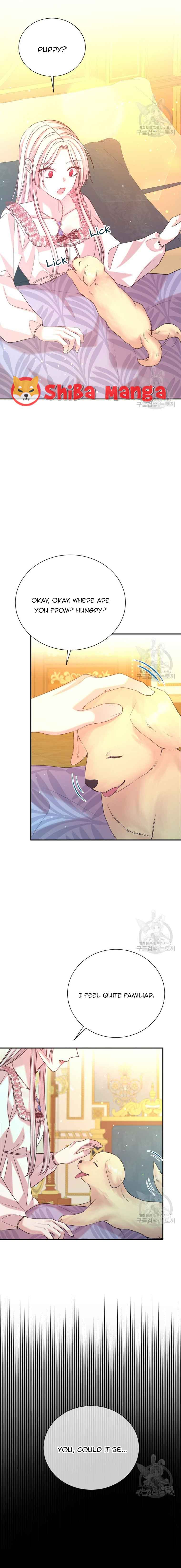 I Can’t Keep up With My Stallion Duke Chapter 75 page 3