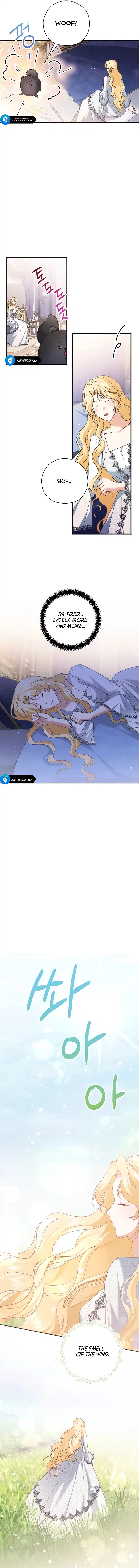 I Don’t Need The Obsession of The Tyrant Chapter 16 page 11