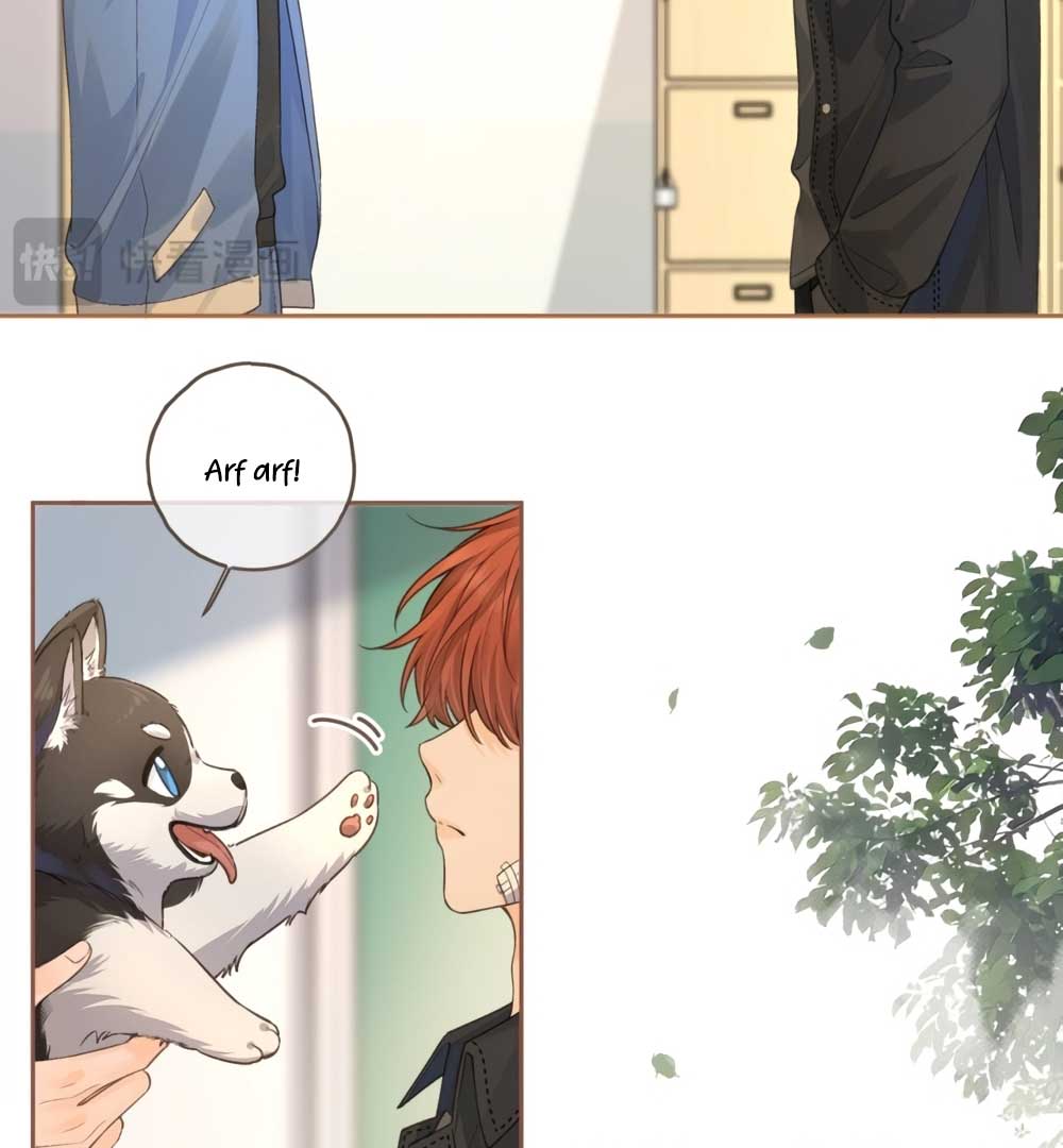 I Just Want To Mooch Off Your Luck Chapter 49 page 41